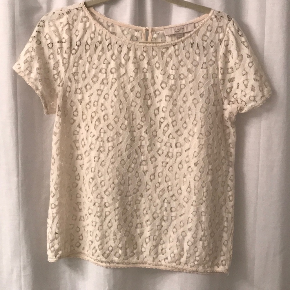 LOFT lace top